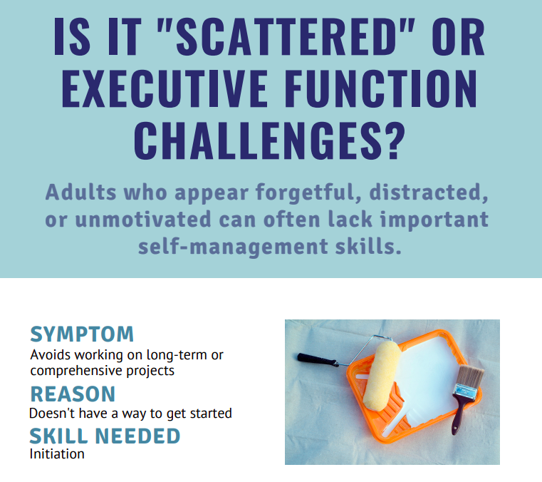 Infographic Scattered or Executive Function Challenges